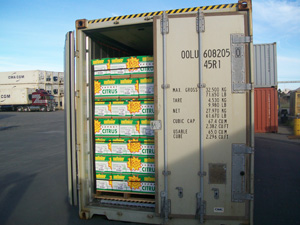 Packing Australia's fresh fruits